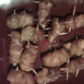 dustinapack66's cooksnap of when they made OMG Chicken Bacon Roll Ups.