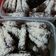 Cooksnap dari eny naswati untuk resep Brownies kukus ny. liem