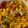 El cooksnap de Bea San Mateo cuando hizo Arroz caldoso de pollo con verduras.
