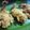 Cooksnap dari mita.yusuf untuk resep Udang Goreng Tepung, Awet Crispy dan No MSG