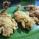 Cooksnap dari mita.yusuf untuk resep Udang Goreng Tepung, Awet Crispy dan No MSG