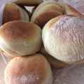 El cooksnap de Daniela Burgos cuando hizo Pan criollo o galleta de campo👩🏼‍🍳 🍞.