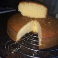 El cooksnap de Rocio Guzman cuando hizo Torta de yogurt esponjosa.