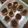Cooksnap dari Stefanny untuk resep Donut mini Natal (tanpa ulen)
