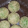 Cooksnap dari Ika13 untuk resep Onde Onde Isi Kacang Hijau Kupas