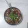 Vaishali Unadkat का कुकस्नैप जब उन्होंने वेज मंचूरियन (Veg manchurian recipe in hindi) बनाया था।