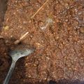 Cooksnap dari Aidah Najichah Fiddaroini untuk resep Sambal hitam ala bebek madura #SambalkuBedaLho #cookpadcommunity_Jakarta