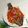 Cooksnap dari RanChim untuk resep Sambal dabu dabu