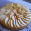 El cooksnap de mranz cuando hizo Tarta de manzana, rápida y rica.