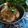 Priyanga Yogesh's cooksnap of when they made செட்டிநாடு மட்டன் கிரேவி.