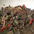 Cooksnap dari Fara Pertiwi Siswanto untuk resep Beef teriyaki mirip hokben 😂