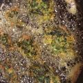 El cooksnap de María Alicia cuando hizo Torrejas de Acelga.