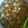 Cooksnap dari S.G.Hidayat untuk resep Sayur sop kilat simple