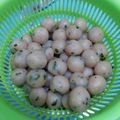 Cooksnap dari ReeRee untuk resep Cilok empuk, gak keras kalau dingin