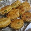  Humaira Saleem's cooksnap of when they made شامی کباب.