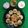 Amita Soni's cooksnap of when they made પાણીપૂરી (Panipuri Recipe In Gujarati).