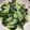 庭秀 的 胡麻醬涼拌小黃瓜 cooksnap