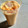 Bhagyashree Yash Ganda's cooksnap of when they made મેંગો લચ્છી (Mango Lassi Recipe In Gujarati).