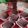 Cooksnap dari Ratu Muthian untuk resep Brownies Kukus Chocolatos
