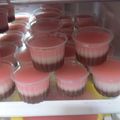 Cooksnap dari agus subekti untuk resep Puding susu Nutrijell 3 lapis terenak