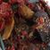 Cooksnap dari Martlya untuk resep Dendeng batokok