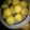 ضياء 's cooksnap of when they made كبة تمن او رز او كبة حلب.