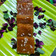 Dr. Sharda Sharma का कुकस्नैप जब उन्होंने बेसन की बर्फी (Besan ki Burfi Recipe In Hindi) बनाया था।