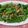 潘俊霖的(簡單料理) 的 小魚乾炒山蘇 cooksnap