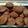 Cooksnap από Σταυρούλα στη συνταγή Cupcakes Σοκολάτας