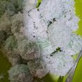Cooksnap dari Kathrin Samosir untuk resep Klepon tepung ketan