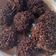 Cooksnap dari Claudia Lazuardy untuk resep Bola-bola Coklat Meises