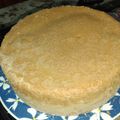 El cooksnap de Fernanda Viano cuando hizo Biscuit H2o o ( bizcochuelo de agua ).