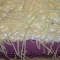 Cooksnap dari Desi Heryani untuk resep Bolu talas kukus / panggang