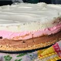 El cooksnap de Sabrina Ferreira cuando hizo Torta helada fácil 🍦🍧👩🏼‍🍳.