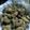 Cooksnap dari Mirsfive untuk resep Kerang crispy