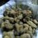 Cooksnap dari Mirsfive untuk resep Kerang crispy