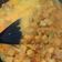 Cooksnap dari Yasmin Nur untuk resep Lodeh Labu Siam Sederhana