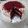 Cooksnap dari soraya surya untuk resep Red Velvet Cake