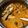 Cooksnap dari Reni Rusmareni untuk resep Gulai Cumi Isi Tahu