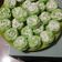 Cooksnap dari Fera Watti untuk resep Putu ayu