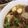 รูป Cooksnap ของ Watcharawadee Oonrua เมื่อเขาทำ กระเพาะปลาน้ำแดง_อิ่ม อร่อย และเต็มคำ