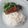 Cooksnap dari Rahayu Wulansari untuk resep Cumi bakar kecap pedas