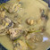Cooksnap dari Shena Amalia untuk resep Nasu likku toriolo (ayam masak lengkuas khas bugis)