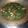 Cooksnap dari Srieka Darmawati untuk resep Oseng kangkung simple