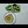 Bhavana Shah's cooksnap of when they made મગની દાળના ચીલા (Moong Dal Chila Recipe In Gujarati).