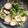 Cooksnap dari Molyn untuk resep Tumis brokoli tofu jamur
