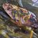 Cooksnap dari Princes Biru untuk resep Pepes ikan bandeng