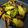 Taylor Topp Comacho's cooksnap of when they made Roasted Brussels sprouts 🤍.