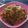 Cooksnap dari Chyntia untuk resep Mie Goreng Solaria