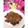 Cooksnap dari Putriima untuk resep Dendeng Batokok Panggang